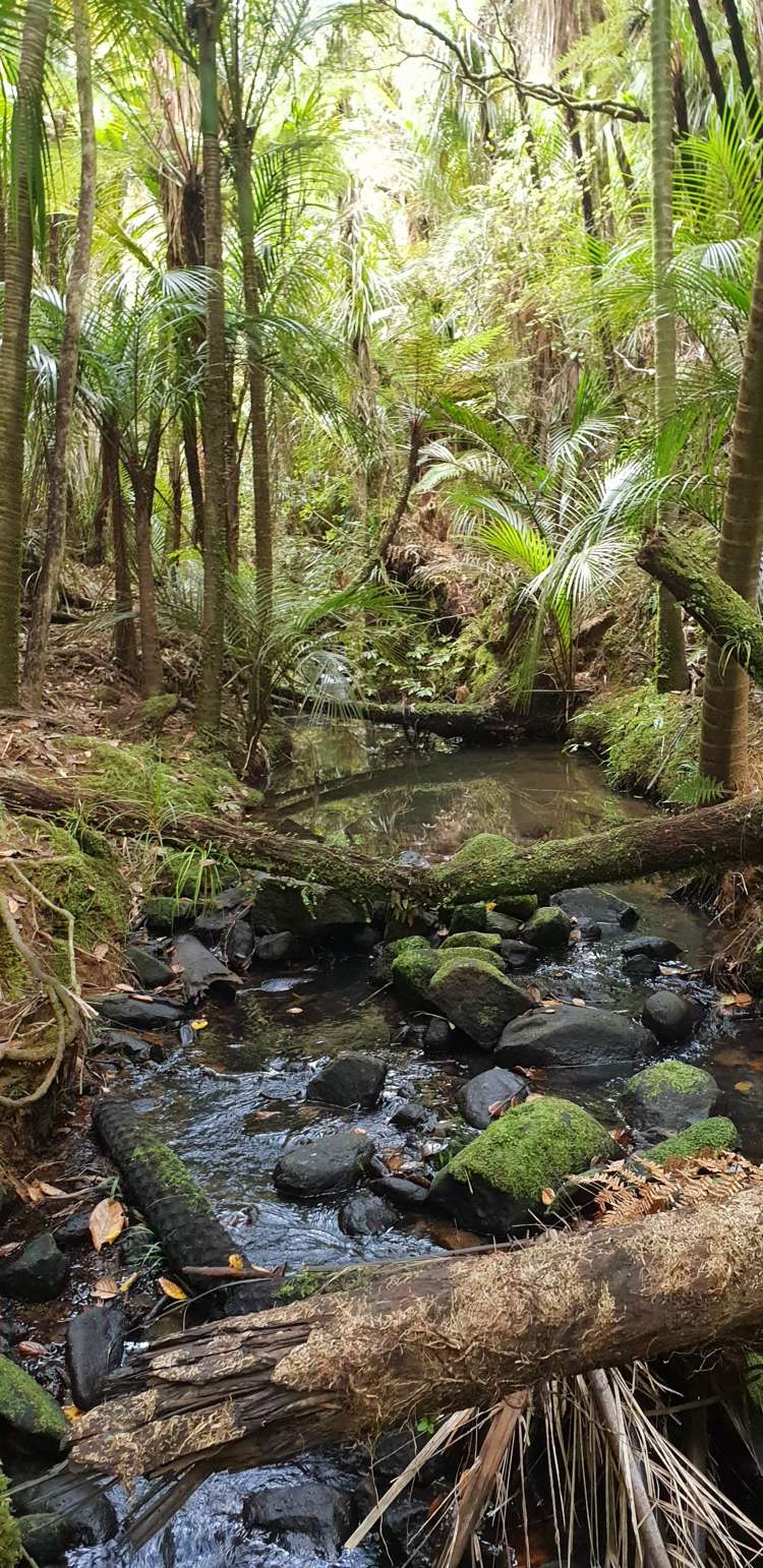 448 Moir Hill Road Warkworth_24