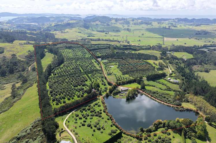 121C Purangi Road Whenuakite_6