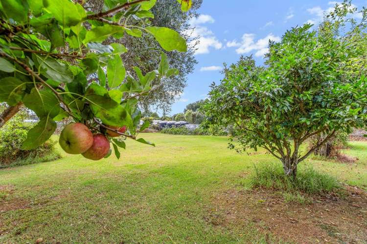 31 Fleur Road Karaka_6