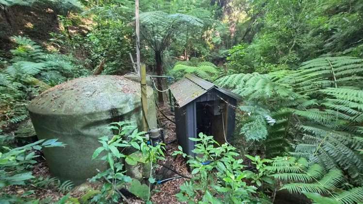 865B Oropi Road Oropi_22