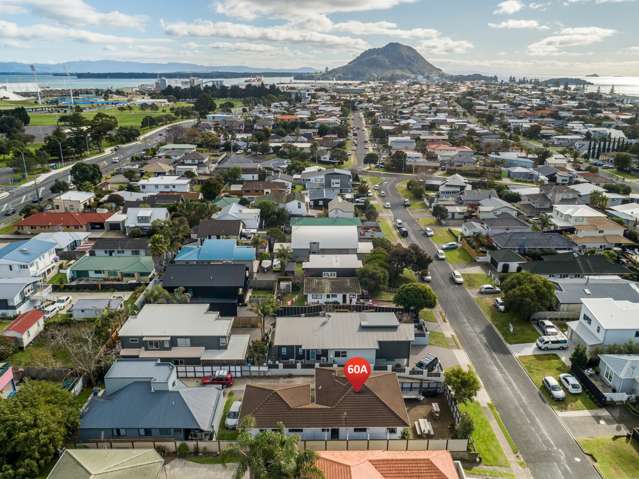 60a Campbell Road Mount Maunganui_2