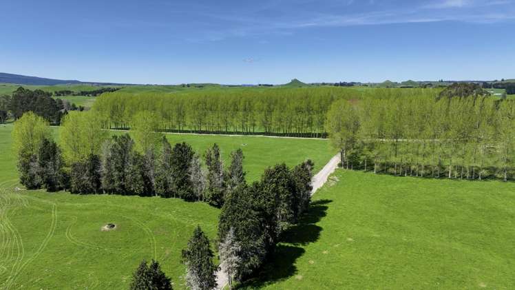 441 State Highway 38 Rerewhakaaitu_14