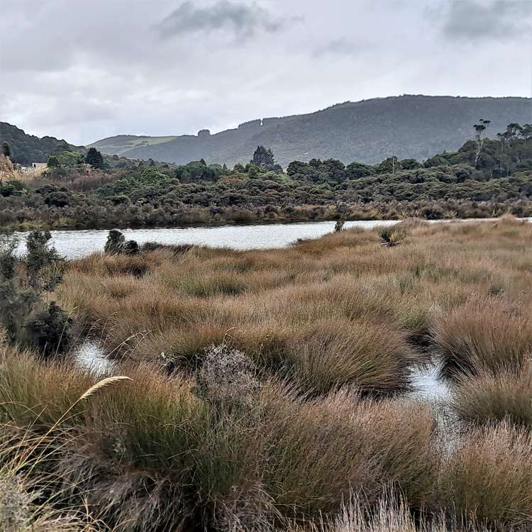 2270 Papatowai Highway Papatowai/Pounawea_19