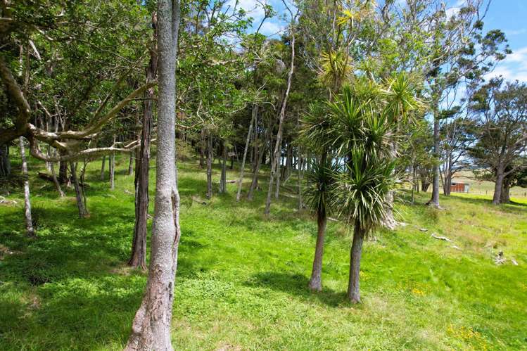 Lot Lot 3 Sills Road Dargaville_23