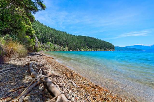 Burneys Beach Arapaoa Island_4