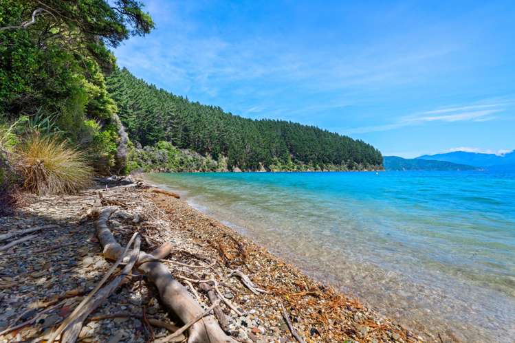 Burneys Beach Arapaoa Island_4