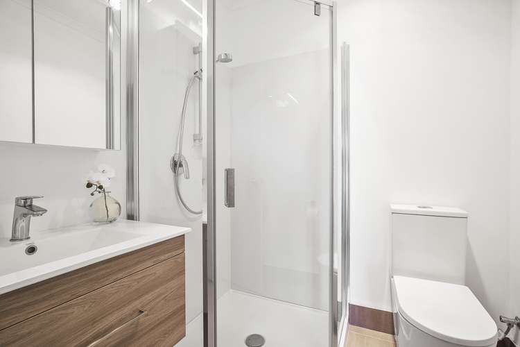 84f Horsham Downs Road Rototuna North_19