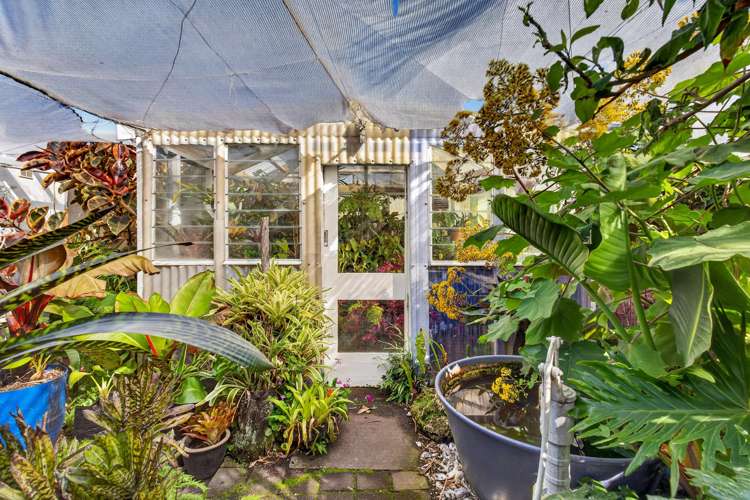 170 Vigor Brown Street Napier South_30