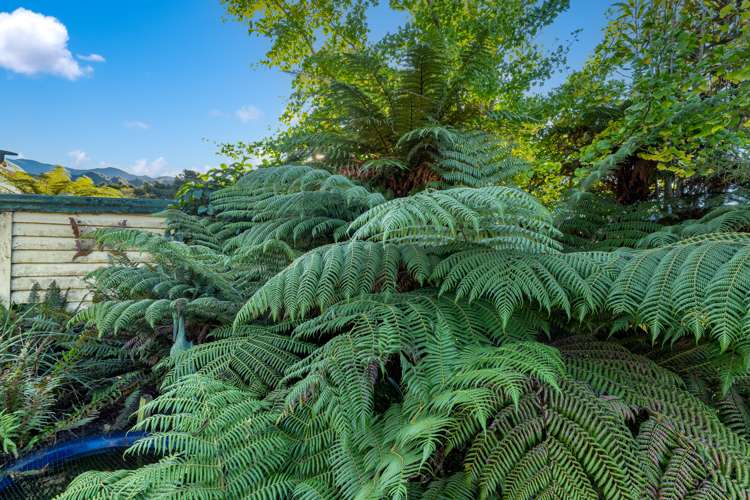 713 State Highway 1 Picton_12