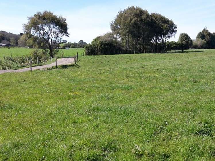 346 Rugby Road Tariki_91