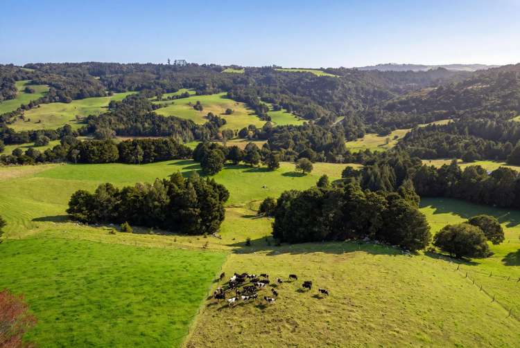 43 Waiariki Road Whakapara_26