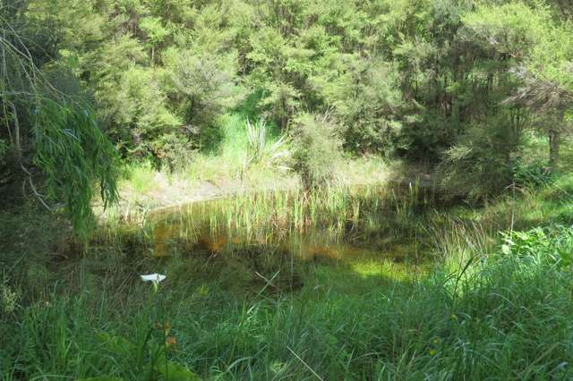 3626a Western Lake Road Ocean Beach_2