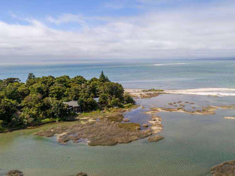 64 Totara Avenue Collingwood_14