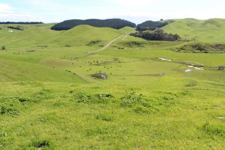 241 Awahuri Road Crownthorpe_9