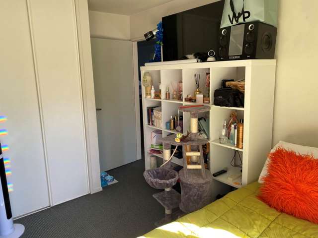 98a Michael Jones Drive Flat Bush_4