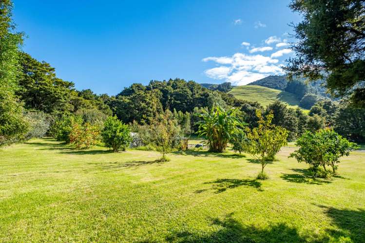 373 Fern Flat Road Peria_17