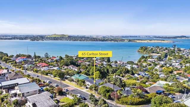 65 Carlton Street Hillsborough_4