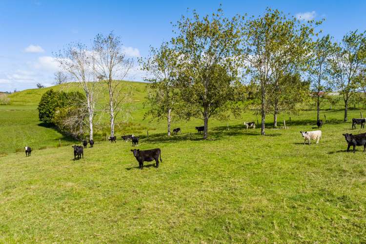 202 Awakino Road Dargaville_10