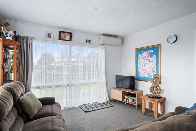 23B Collingwood Street Levin_3