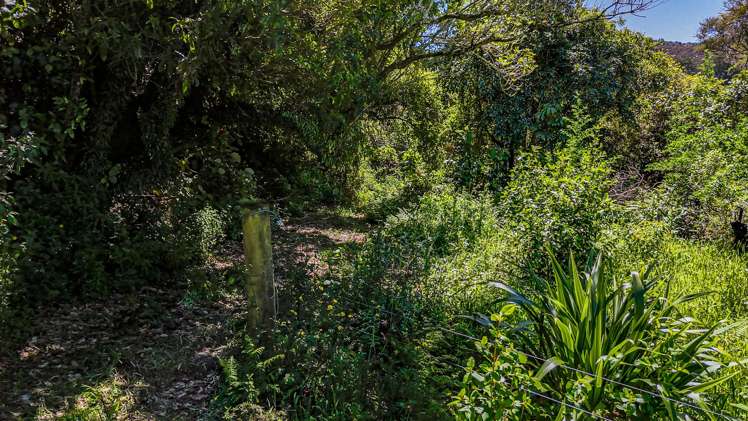 2096 State Highway 2 Kiriwhakapapa_12