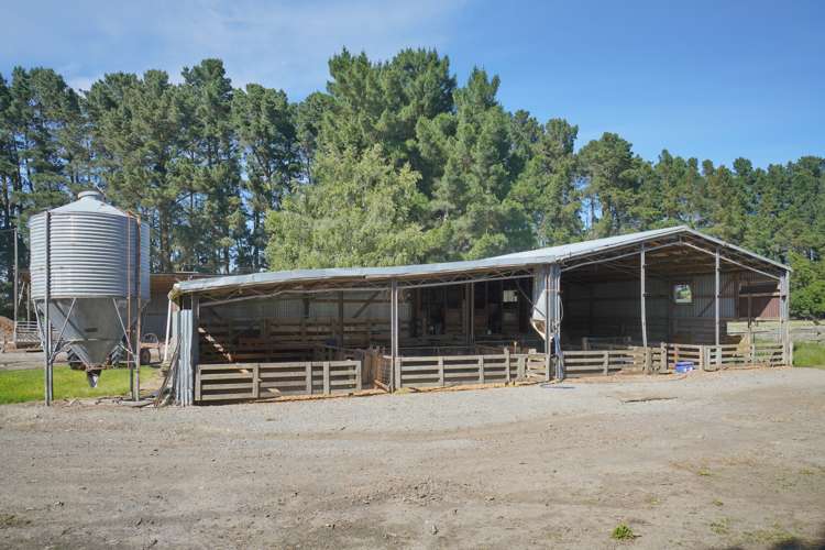 319 Mitchells Road Bankside_19