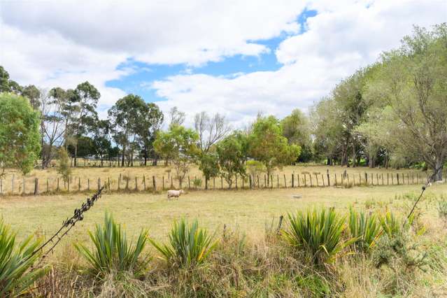 34 Gordon Crescent Marton_2