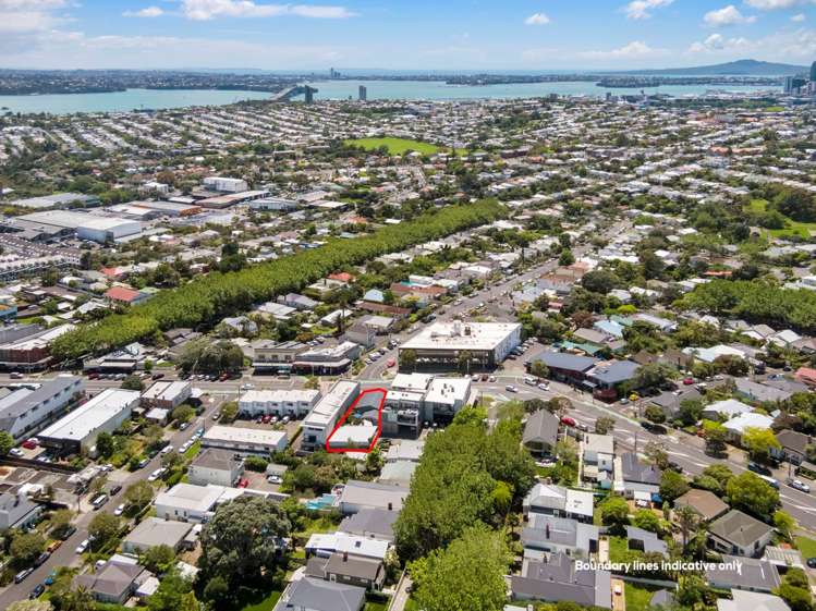 475 Richmond Road Grey Lynn_8