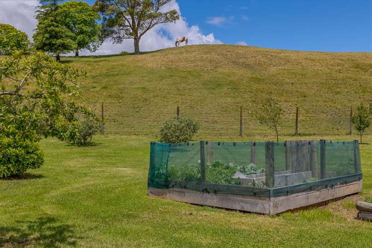 73a Kyle Road Waipukurau and Surrounds_21