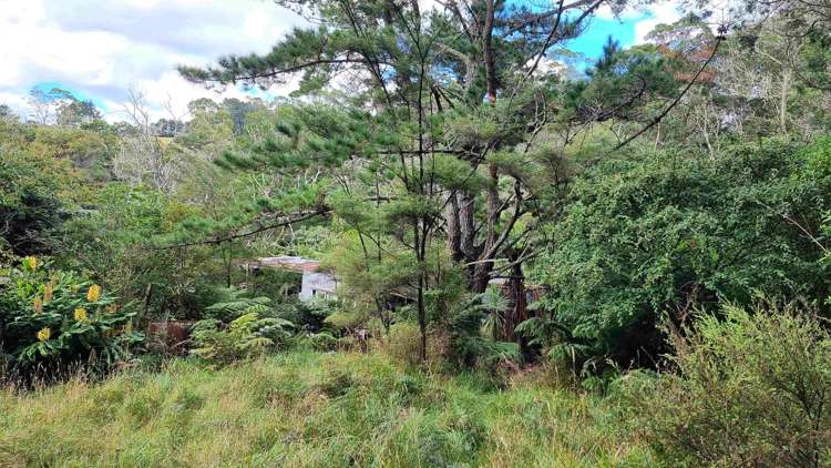 294 Foster Road Waimauku_10