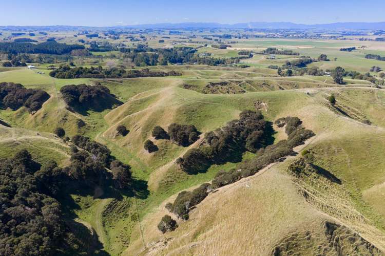 109A Junction Road Halcombe_16