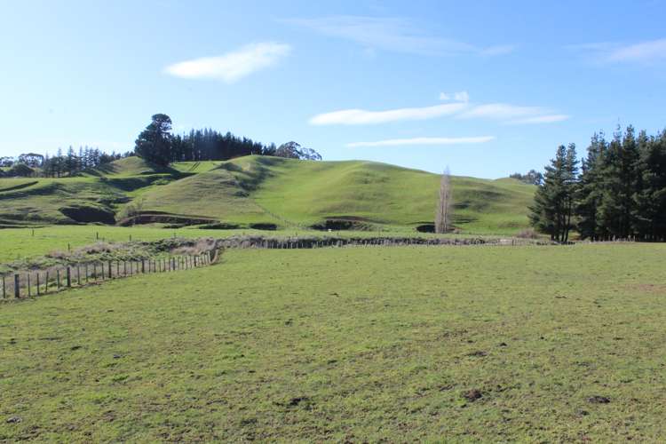 75647 State Highway 2 Norsewood_7