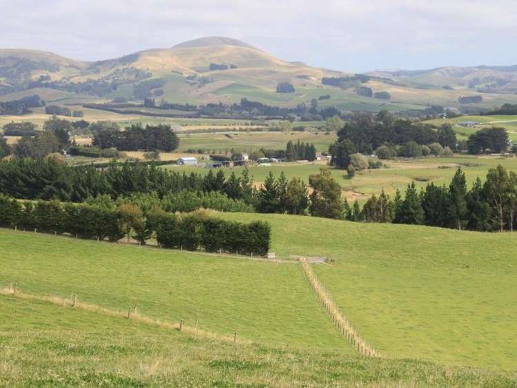 83 Ireland Road Palmerston_6