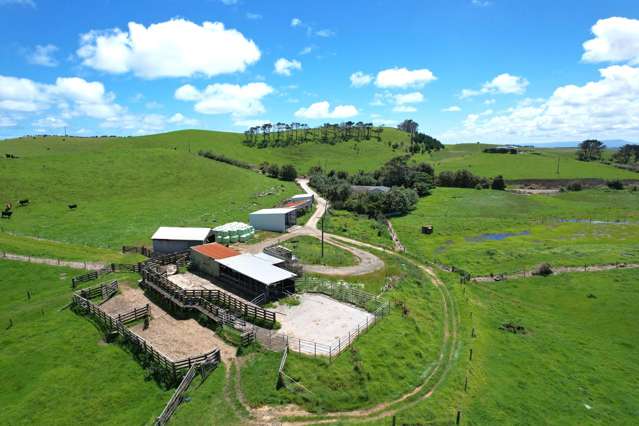 1090 Te Maire Road Dargaville_1