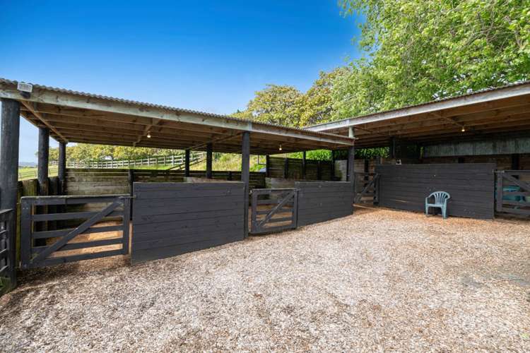 298 Rimmer Road Helensville_41