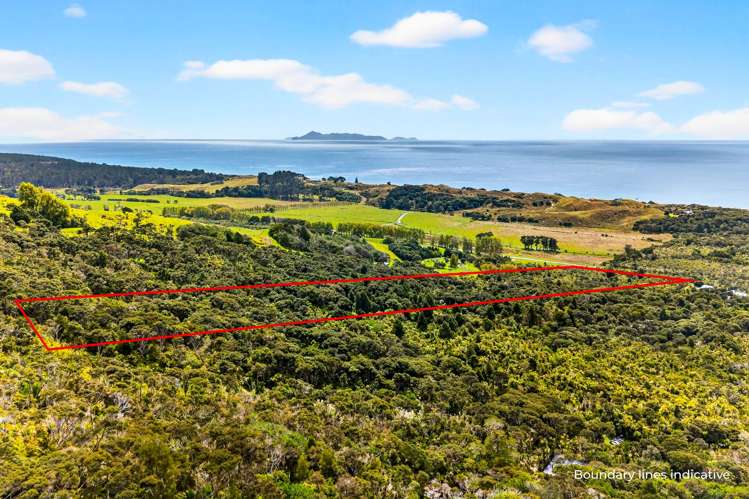 495 Rahuikiri Road Leigh_15