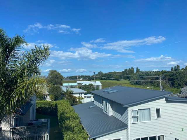 36a Kawerau Avenue Devonport_4