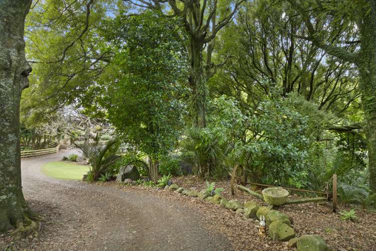 367 Wairamarama Onewhero Road Onewhero_21