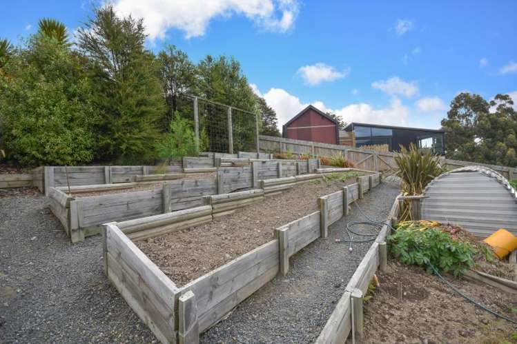 38 Cardigan Street North East Valley_21