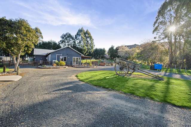 554 Apirana Road Horohoro_4