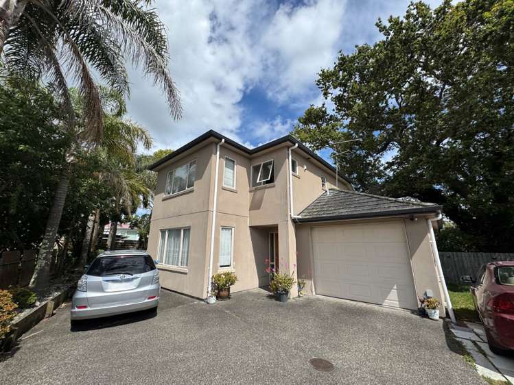 20A Latham Avenue Pakuranga_0