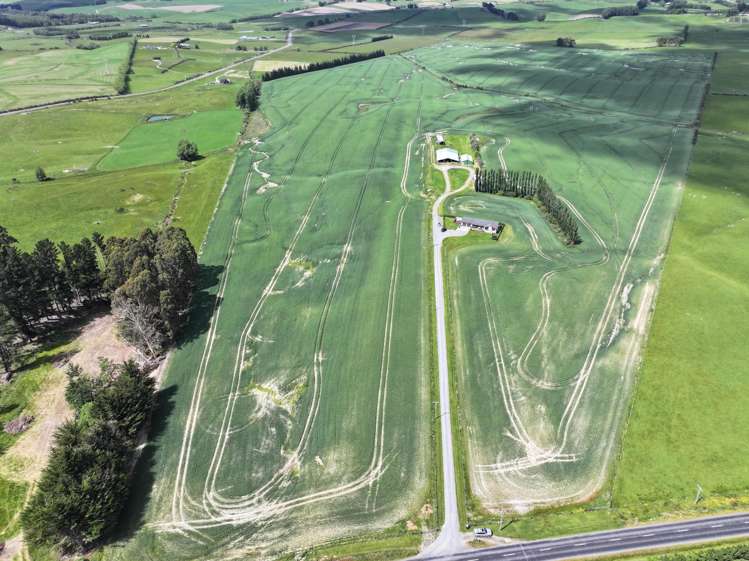 583 Reaby Road Gore_19