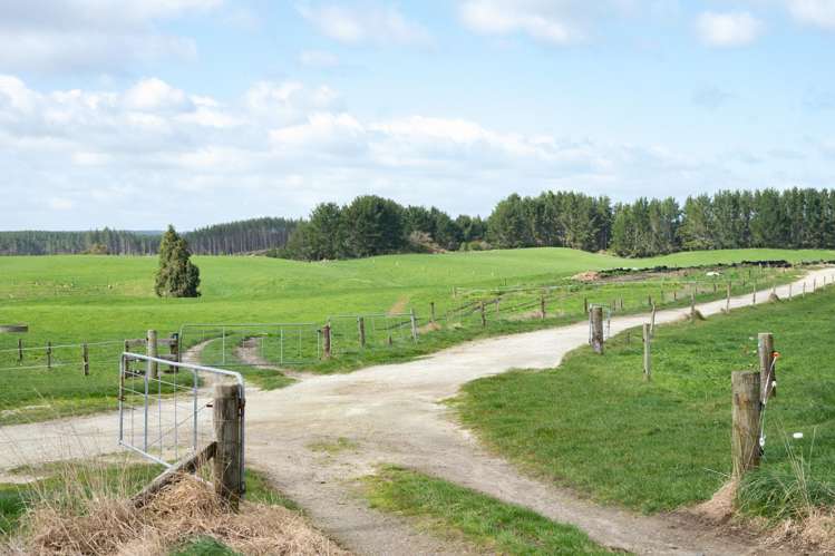 753 Pongakawa Bush Road Pongakawa_4