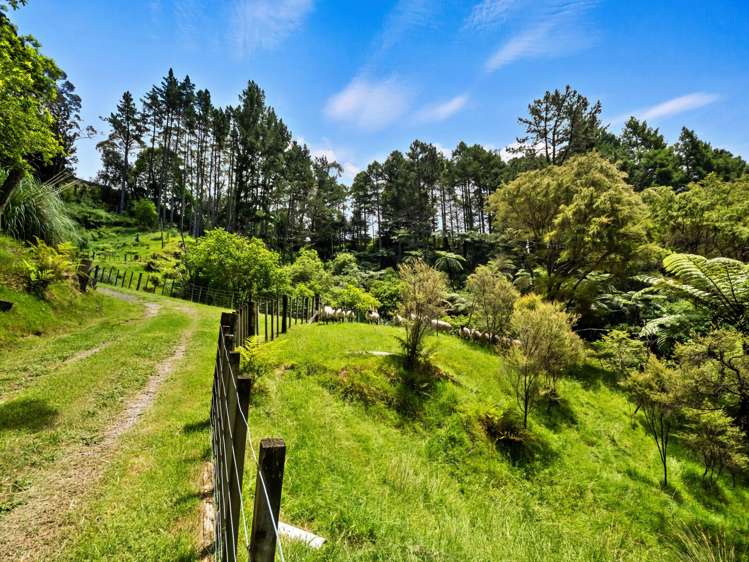 Address withheld Welcome Bay_45