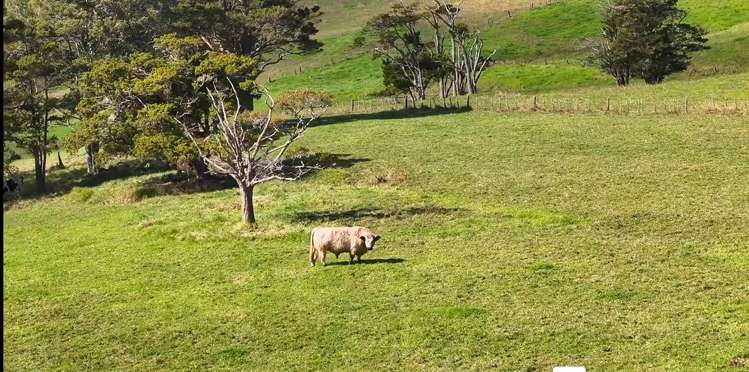 122 Hurndall Street East Maungaturoto_20