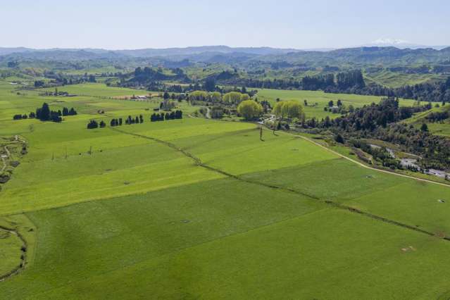 At $28,000+/ha - the returns are hard to beat!