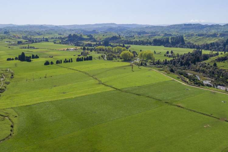 37 Karewarewa Road_0