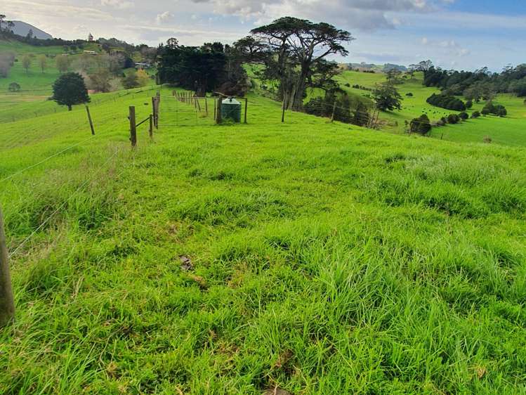 Curd Road Maungakaramea_10