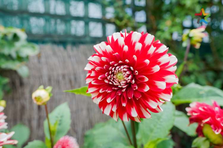 694 Tweed Street Newfield_17