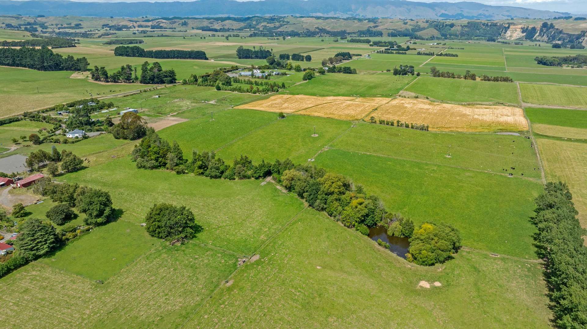 2054 Kimbolton Road Kiwitea_0