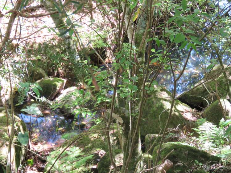 305 Pungaere Road Kerikeri Surrounds_12